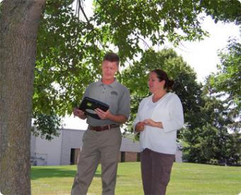 tree inspection